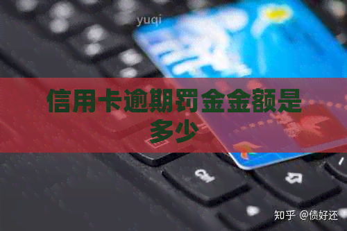 信用卡逾期罚金金额是多少