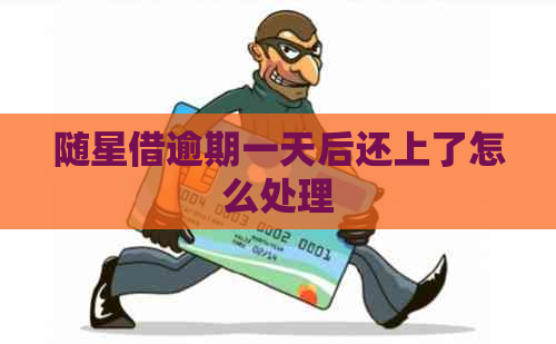 随星借逾期一天后还上了怎么处理