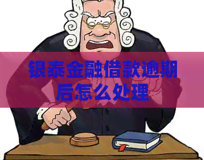 银泰金融借款逾期后怎么处理