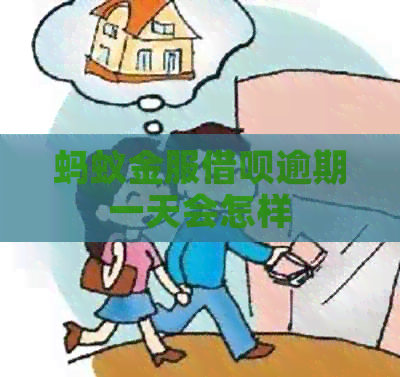 蚂蚁金服网贷逾期一天会怎样