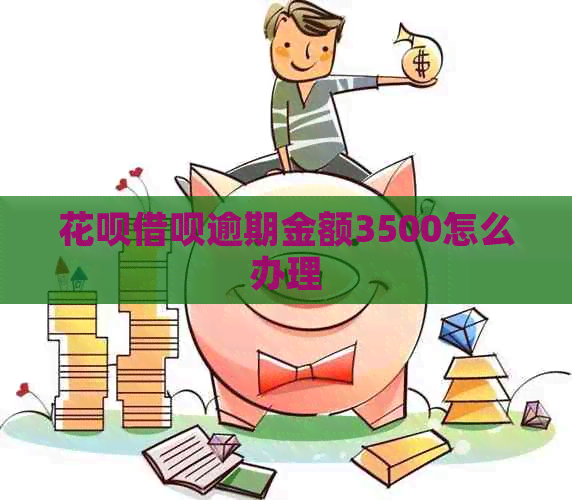 信用卡网贷逾期金额3500怎么办理