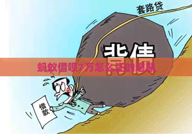 蚂蚁网贷7万怎么还的逾期