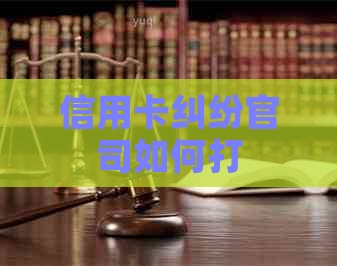 信用卡纠纷官司如何打
