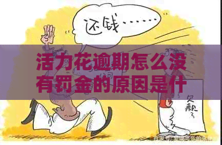 活力花逾期怎么没有罚金的原因是什么