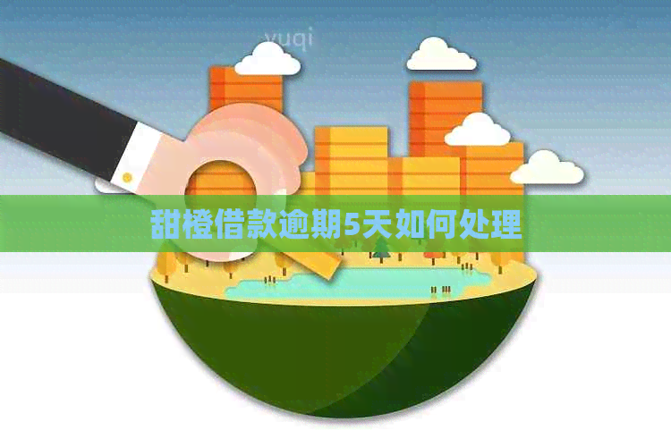 甜橙借款逾期5天如何处理