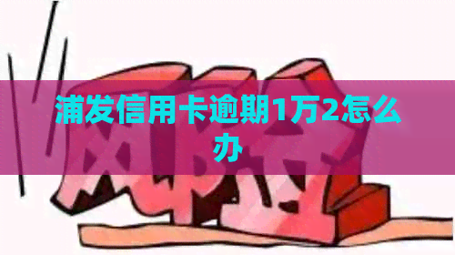 浦发信用卡逾期1万2怎么办