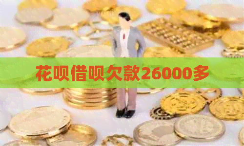 信用卡网贷欠款26000多