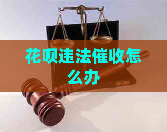 信用卡违法怎么办