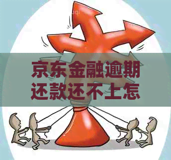 京东金融逾期还款还不上怎么办