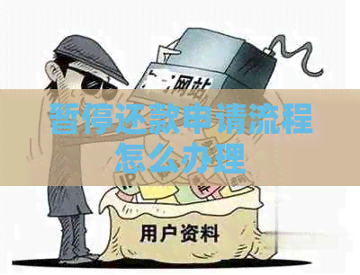 暂停还款申请流程怎么办理