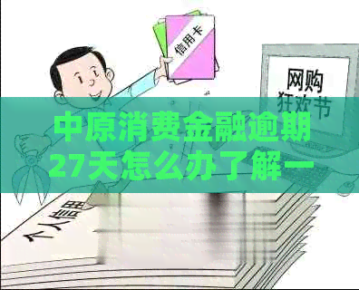 中原消费金融逾期27天怎么办了解一下