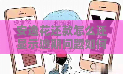 安逸花还款怎么还显示逾期问题如何解决