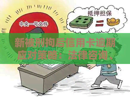 新被刑拘后信用卡逾期应对策略：法律咨询、债务处理与信用重建