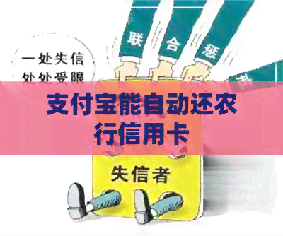 支付宝能自动还农行信用卡