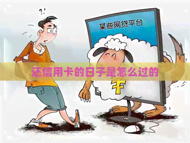 还信用卡的日子是怎么过的
