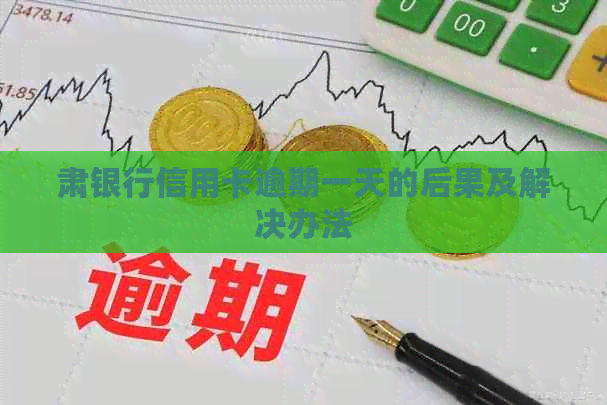 肃银行信用卡逾期一天的后果及解决办法