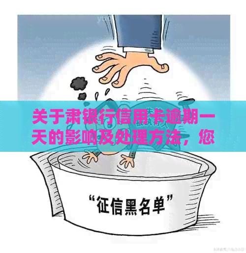 关于肃银行信用卡逾期一天的影响及处理方法，您可以了解这些全面信息