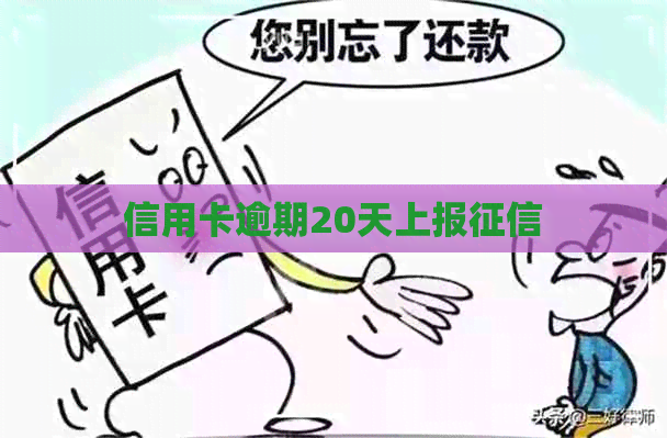 信用卡逾期20天上报
