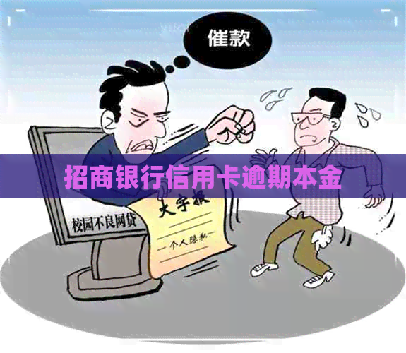招商银行信用卡逾期本金