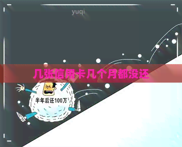 几张信用卡几个月都没还