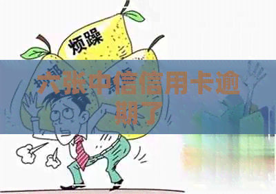 六张中信信用卡逾期了
