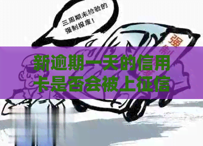 新逾期一天的信用卡是否会被上？如何进行投诉和解决？