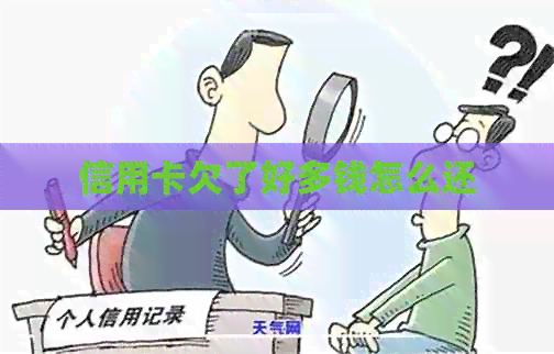 信用卡欠了好多钱怎么还