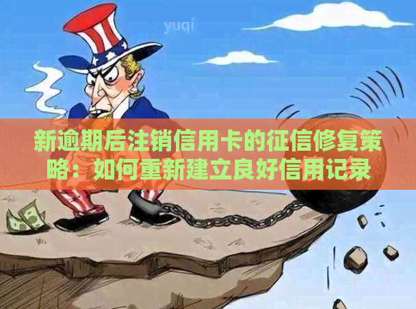 新逾期后注销信用卡的修复策略：如何重新建立良好信用记录