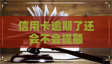 信用卡逾期了还会不会提额