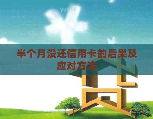 半个月没还信用卡的后果及应对方法