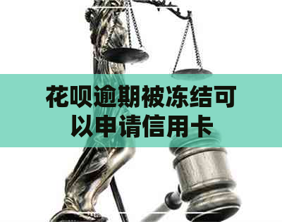 信用卡逾期被冻结可以申请信用卡