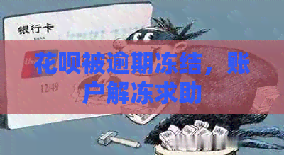 信用卡被逾期冻结，账户解冻求助