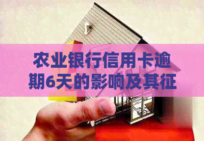 农业银行信用卡逾期6天的影响及其修复策略