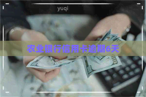 农业银行信用卡逾期6天