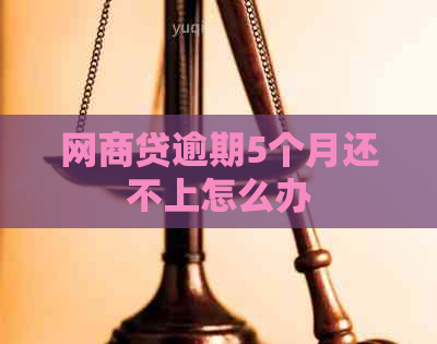 网贷逾期5个月还不上怎么办