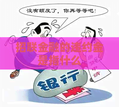 招联金融的违约金是指什么