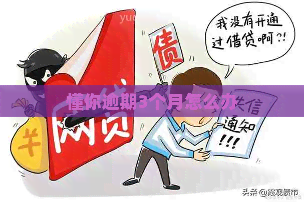 懂你逾期3个月怎么办