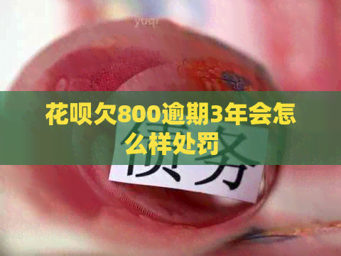 信用卡欠800逾期3年会怎么样处罚
