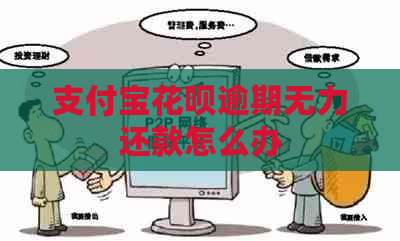 支付宝信用卡逾期无力还款怎么办