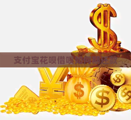 支付宝信用卡网贷如何期还款
