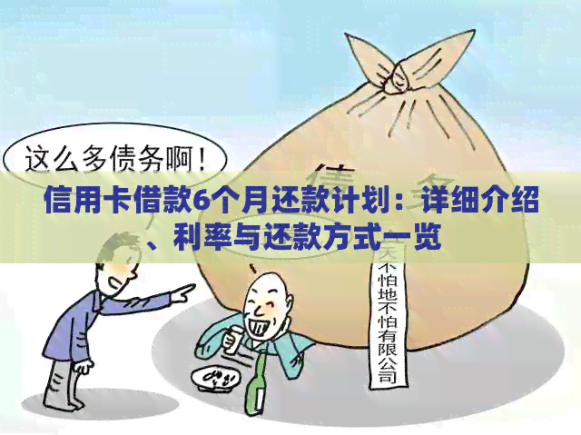信用卡借款6个月还款计划：详细介绍、利率与还款方式一览