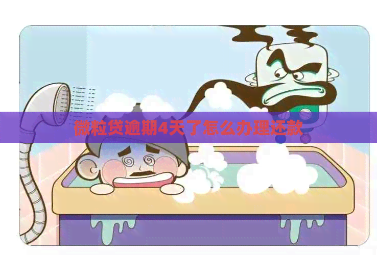 微粒贷逾期4天了怎么办理还款