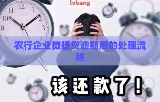 农行企业微捷贷逾期后的处理流程