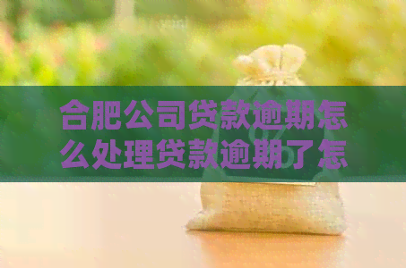 合肥公司贷款逾期怎么处理贷款逾期了怎么办