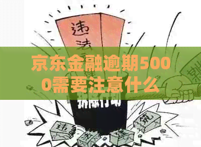 京东金融逾期5000需要注意什么