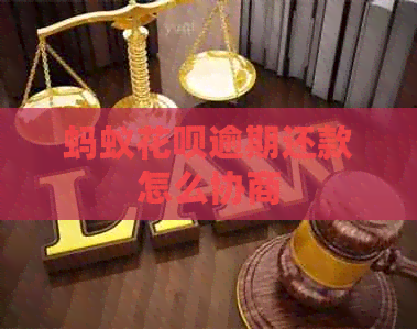 蚂蚁信用卡逾期还款怎么协商