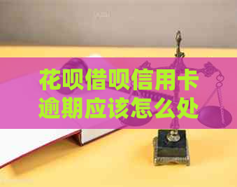 信用卡网贷信用卡逾期应该怎么处理