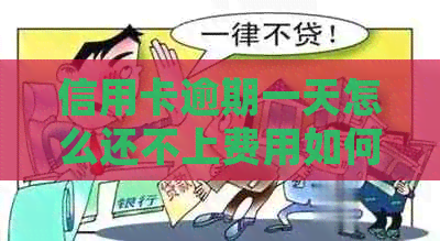 信用卡逾期一天怎么还不上费用如何处理