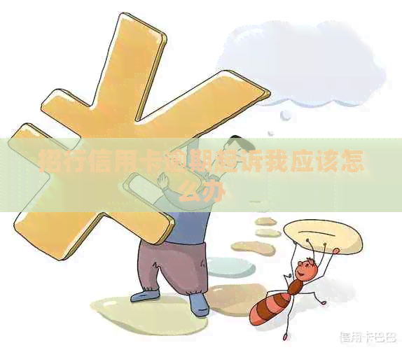 招行信用卡逾期起诉我应该怎么办