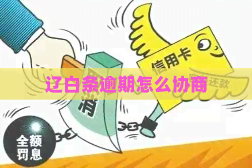 辽白条逾期怎么协商